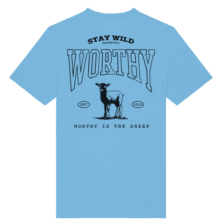 SkiSheepTee SkiSheepTee