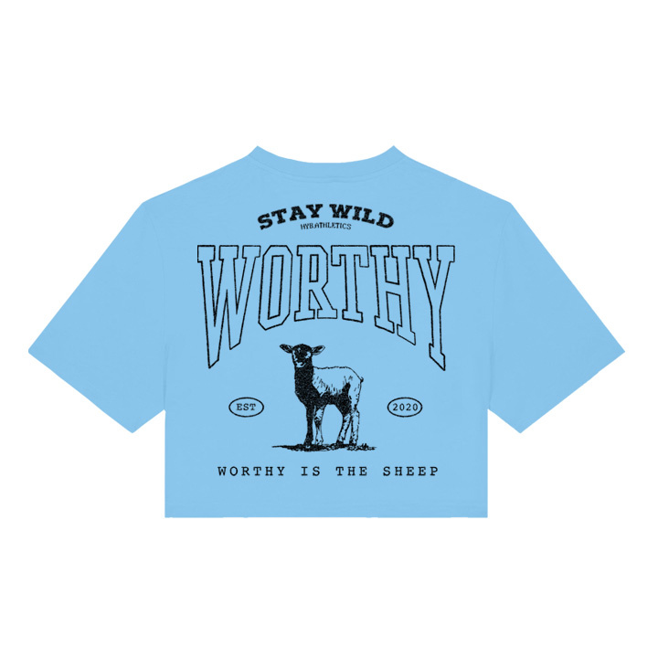 WineSheepSki WineSheepSki